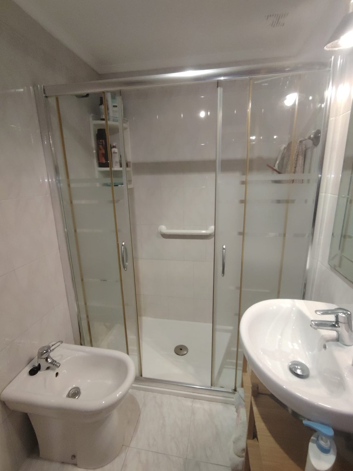 Baño con ducha y bidé